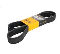 ContiTech Cinghia servizi 10PK1521 Poly-V per Volvo