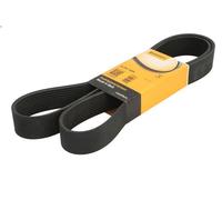 CONTITECH 10PK1526 Cinghia servizi