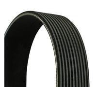 Cinghia Poly-V CONTITECH 10PK1705 per VOLVO FL II 7.146 2006-