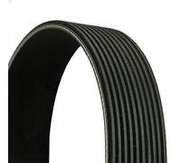 Cinghia poly-V CONTITECH 10PK1705 per VOLVO FL II 7.146 2006-