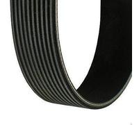 Cinghia poly-V CONTITECH 10PK1720 per IVECO TRAKKER I 7.79 2004-2012