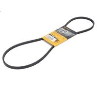 Cinghia poly-V CONTITECH 3 PK 1095 per AUDI A4 B9 Avant (8W5, 8WD) 2.9 2017-