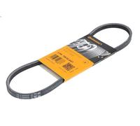 Cinghia poly-V CONTITECH 3PK725 ELAST TRANSIT V363 Furgone (FCD, FDD) 2 2016-