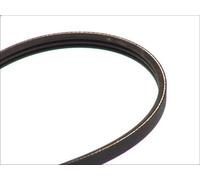 Cinghia poly-V CONTITECH 3PK785 per ROVER 400 II (XW) 1.6 1990-1995