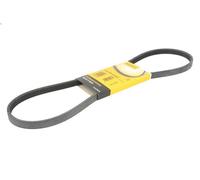 Cinghia poly-V CONTITECH 4PK1041 ELAST per IVECO TRAKKER I 12.882 2004-2007