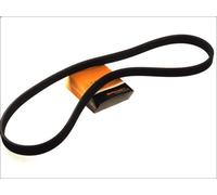 Cinghia poly-V CONTITECH 6DPK1697 BMW 1 (E87) 2 2004-2011