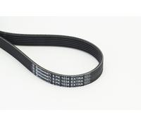 Cinghia Poly-V CONTITECH 6PK1034 EXTRA