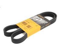 Cinghia poly-V CONTITECH 6PK1200 per DACIA LOGAN II 1.6 2013-2016