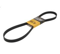 CONTITECH 6PK1208 EXTRA Cinghia servizi