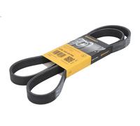 Cinghia poly-V CONTITECH 6PK1441 EXTRA per AUDI A5 (FU2) 3 2024-