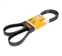 Cinghia poly-V CONTITECH 6PK1613 VOLVO 850 (854) 2 1994-1996