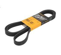 Cinghia poly-V CONTITECH 6PK2170 per MAZDA MX-5 III (NC) 2 2005-2014