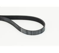 Cinghia poly-V CONTITECH 6PK730 ELAST AUDI A1 (8X1, 8XK) 1.4 2014-2018