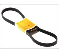 Cinghia poly-V CONTITECH 6PK780 ELAST per CITROEN C2 (JM_) 1.4 2003-2009