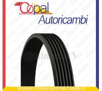 Contitech 6 PK 780 ELAST Cinghie Trapezoidale