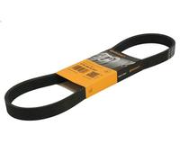 Cinghia poly-V CONTITECH 6PK868 ELAST per MAN TGE Autobus 2 2017-2024