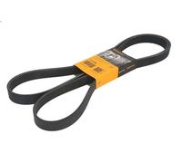 Cinghia poly-V CONTITECH 7 PK 2080 HONDA ACCORD VIII (CU) 2 2008-2015