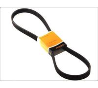 Cinghia poly-V CONTITECH 7DPK2074 per AUDI Q7 Van (4LB) 3.6 2006-2010
