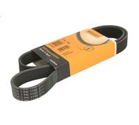 Cinghia Poly-V CONTITECH 7PK1145 per NISSAN NOTE (E11, NE11) 1.6 2006-2012