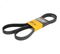 Cinghia Poly-V CONTITECH 7PK1795 per RENAULT LAGUNA II (BG0/1_) 2 2002-2007