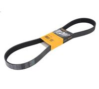 Cinghia poly-V CONTITECH 8PK1165 per MAN LION´S CITY 10.518 2006-2011