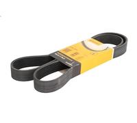 Cinghia poly-V CONTITECH 8PK1371 MERCEDES-BENZ ATEGO 4.249 1998-2004