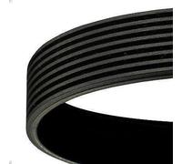 Cinghia poly-V CONTITECH 8PK1440 per FM10 9.6 1999-2001