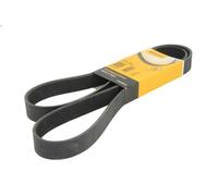 Cinghia poly-V CONTITECH 8PK1500 MAN LION´S CITY 11.967 2004-2009