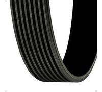Cinghia poly-V CONTITECH 8PK1740 per SCANIA 4 - series bus 8.974 1998-2007