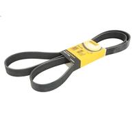 Cinghia poly-V CONTITECH 8PK1955 MERCEDES-BENZ ATEGO 4.249 1998-2004