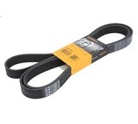 Cinghia poly-V CONTITECH 8PK2630 per MERCEDES-BENZ ANTOS 12.809 2012-2018