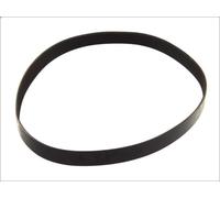 Cinghia poly-V CONTITECH 9PK2125 per MERCEDES-BENZ TOURO (O 500) 11.967 2001-
