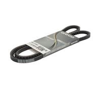 Cinghia Poly-V DAYCO 10A1175HD