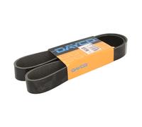 DAYCO 10PK1342SHD Cinghia servizi