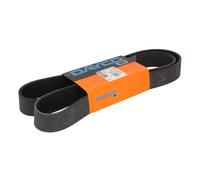 Cinghia Poly-V DAYCO 10PK1487HD