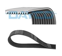 DAYCO 10PK1620HD Cinghia