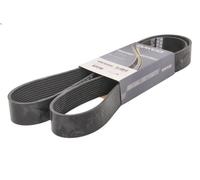 Cinghia poly-V DAYCO 10PK1630HD per VOLVO FE 7.146 2009-2014