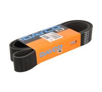 Dayco Cinghia Poly-V 10PK1635SHD per Mercedes-Benz Serie Actros Antos Arocs