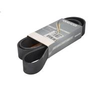 Cinghia poly-V DAYCO 10PK1705HD per MAN LION´S CITY 12.816 2007-2008