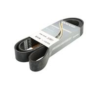 Dayco Cinghia Poly-V 10PK1781HD Originale per Volvo 8700 B7