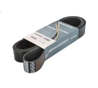 Cinghia poly-V DAYCO 10PK1850HD MERCEDES-BENZ ZETROS 7.201 2008-