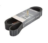 Cinghia poly-V DAYCO 10PK1863HD per MAN NÜ 6.871 1998-
