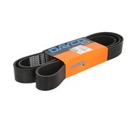 Cinghia Poly-V DAYCO 10PK2017HD