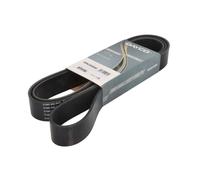 DAYCO 10PK2050HD Cinghia servizi