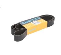 Cinghia Poly-V DAYCO 10PK2475HD per SCANIA T 8.867 2004-2019
