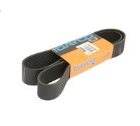 Cinghia poly-V DAYCO 12PK1300HD per MAN TGA 6.871 2001-2001
