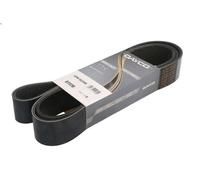 Cinghia poly-V DAYCO 12PK1923HD per IVECO S-WAY 12.882 2019-
