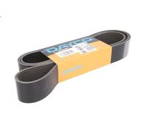 Cinghia poly-V DAYCO 12PK1932HD per DAF CF 10.837 2013-