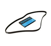 Dayco Cinghia Trapezoidale Pv 4Pk725