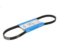 Cinghia poly-V DAYCO 4PK874EE per DOBLO MPV / Space wagon (119_, 223_) 1.6 2005-